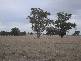 . HOWLONG BALLDALE ROAD, Albury NSW 2640