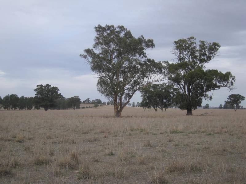 . HOWLONG BALLDALE ROAD, Albury NSW 2640