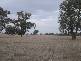 . HOWLONG BALLDALE ROAD, Albury NSW 2640
