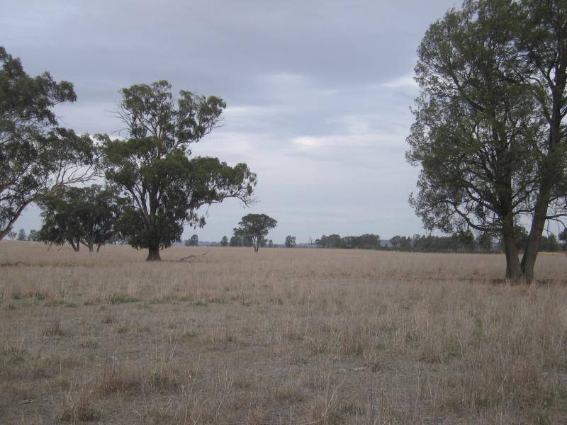 . HOWLONG BALLDALE ROAD, Albury NSW 2640