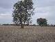 . HOWLONG BALLDALE ROAD, Albury NSW 2640