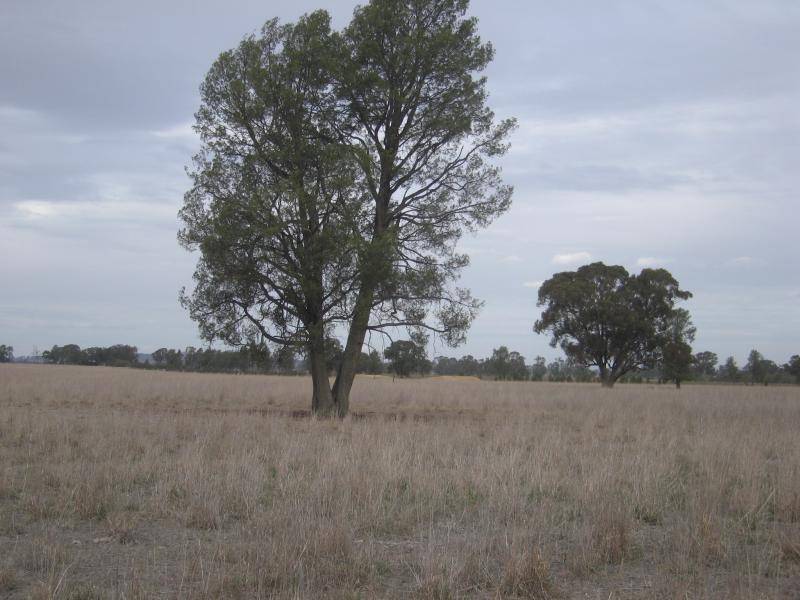 . HOWLONG BALLDALE ROAD, Albury NSW 2640
