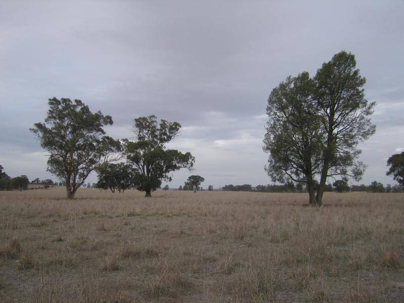 . HOWLONG BALLDALE ROAD, Albury NSW 2640