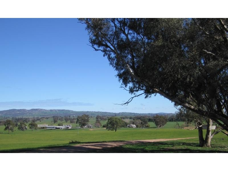 . MORVEN LANE, Gerogery NSW 2642