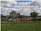 . MORVEN LANE, Gerogery NSW 2642