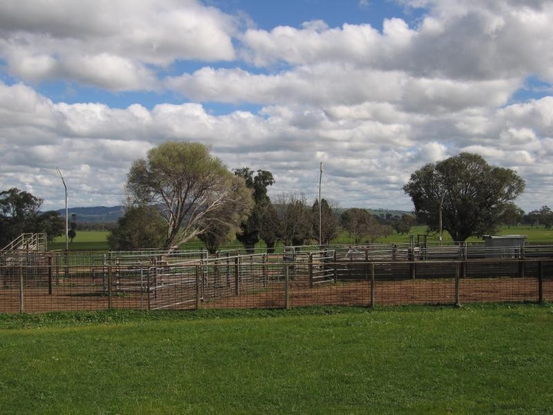 . MORVEN LANE, Gerogery NSW 2642