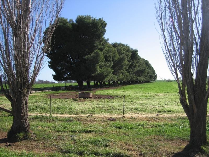 . MORVEN LANE, Gerogery NSW 2642