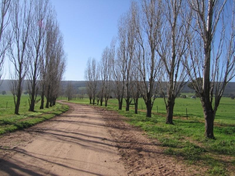 . MORVEN LANE, Gerogery NSW 2642