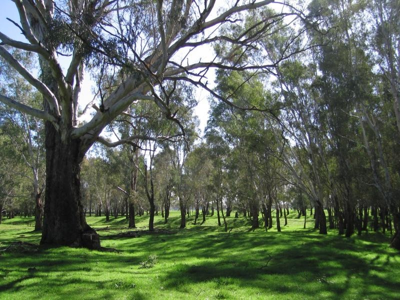 . RIVERINA HIGHWAY, Albury NSW 2640