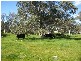 258 RACECOURSE ROAD, Chiltern VIC 3683