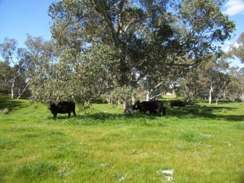 258 RACECOURSE ROAD, Chiltern VIC 3683