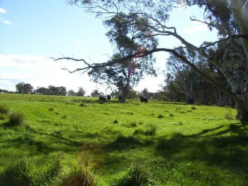 258 RACECOURSE ROAD, Chiltern VIC 3683