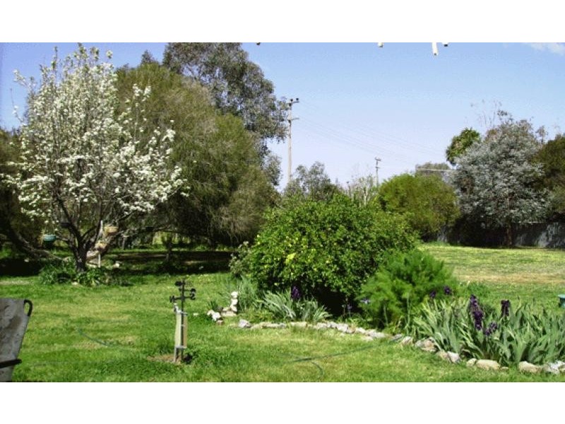 5 NOLAN STREET, Holbrook NSW 2644