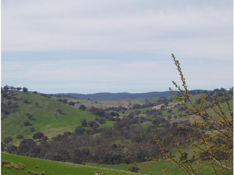 103 SPRING GULLY ROAD, Wodonga VIC 3690