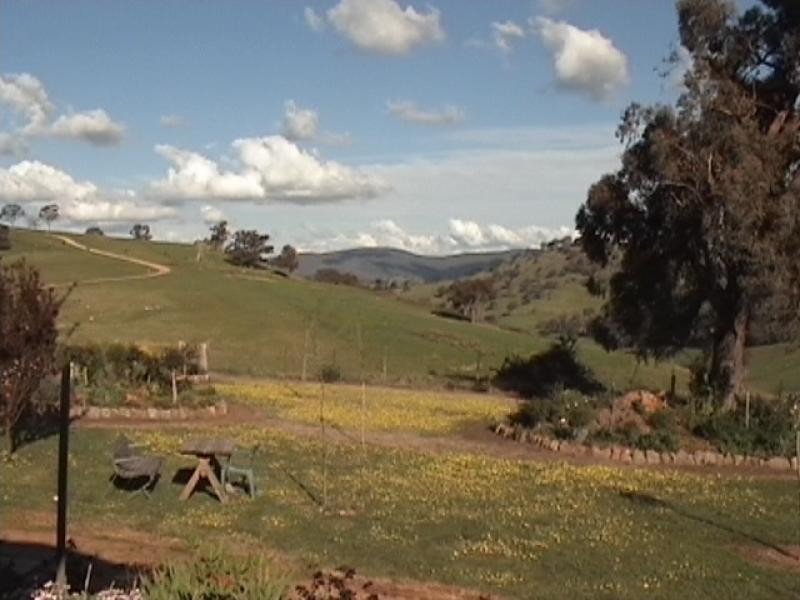 103 SPRING GULLY ROAD, Wodonga VIC 3690