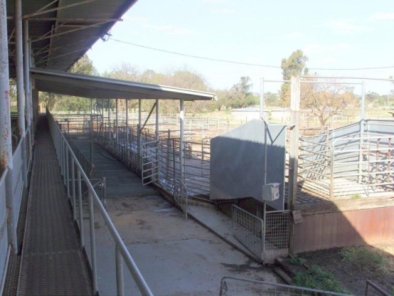 Yanco NSW 2703