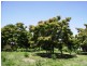 10-12 Bardwell Street, Holbrook NSW 2644