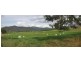 Tallangatta VIC 3700