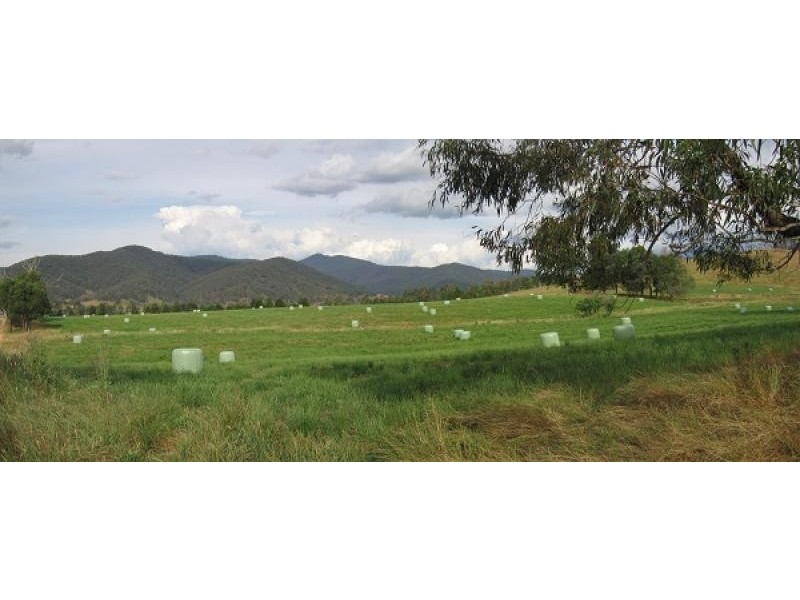 Tallangatta VIC 3700