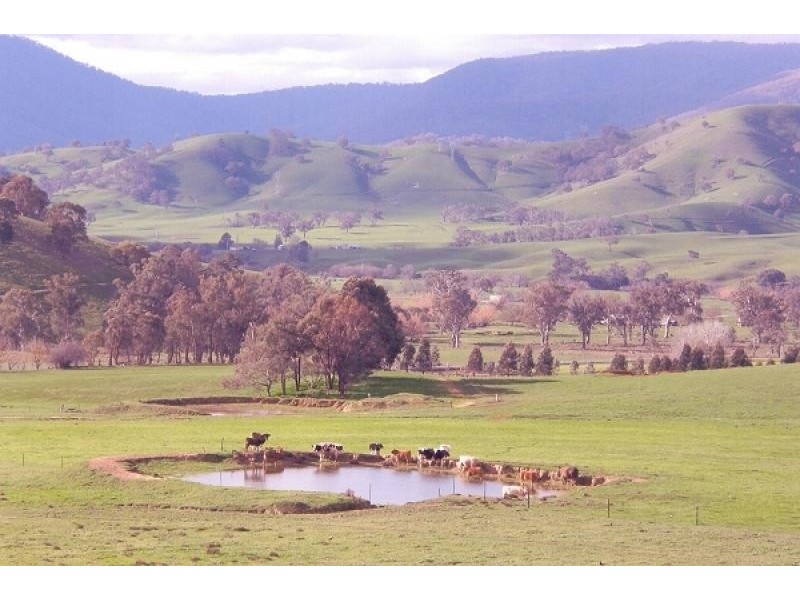 Tallangatta VIC 3700