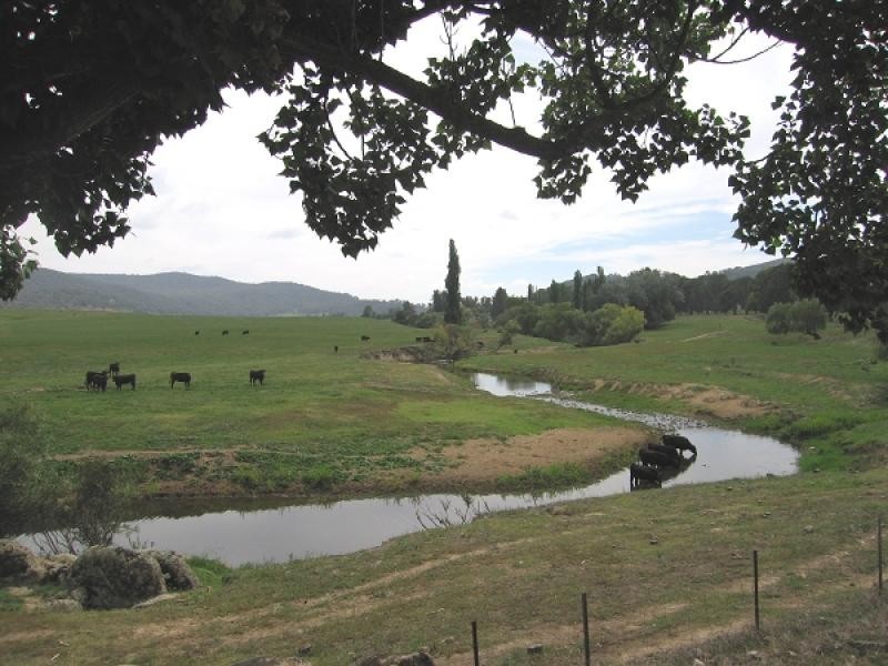 . CLEAR SPRINGS, Jingellic NSW 2642