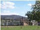 Mannus NSW 2653