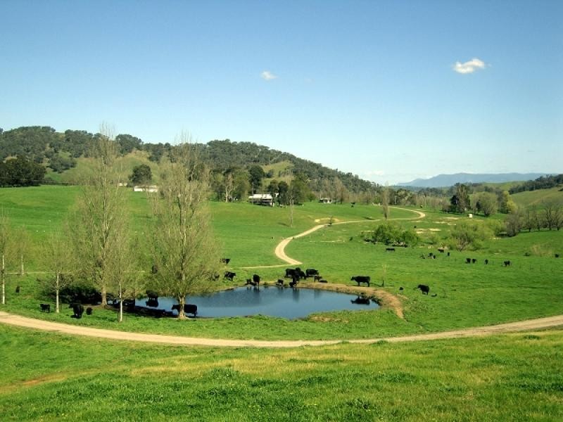 Jingellic NSW 2642