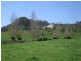 Jingellic NSW 2642