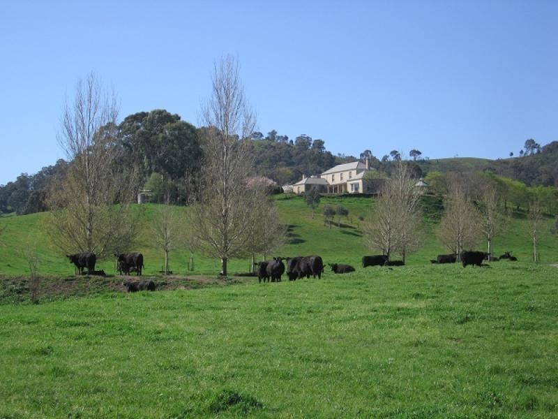Jingellic NSW 2642