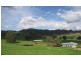 Jingellic NSW 2642