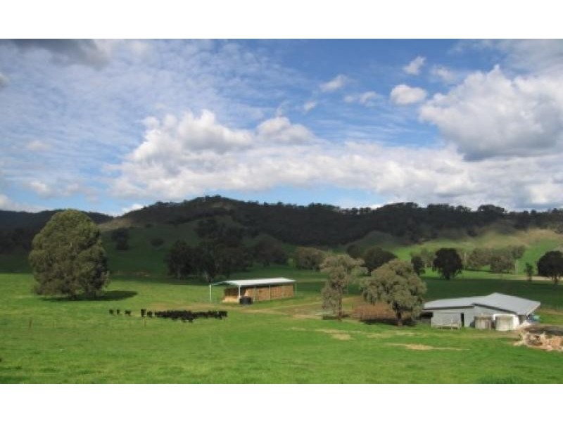 Jingellic NSW 2642