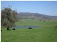 Jingellic NSW 2642