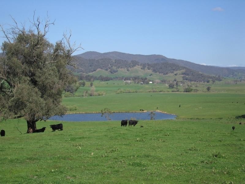 Jingellic NSW 2642