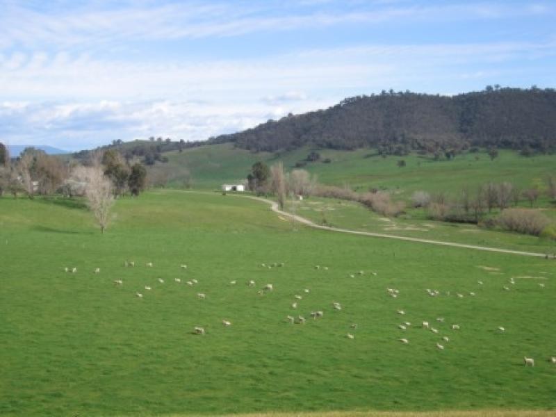 Jingellic NSW 2642