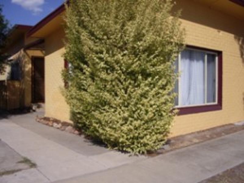 1/1006 Alemein Court, Albury NSW 2640