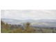 5 Love Lane, Splitters Creek NSW 2640