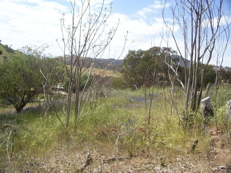 Lot 2 c Murray River Road, Walwa VIC 3709