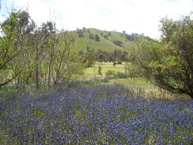 Lot 2 c Murray River Road, Walwa VIC 3709