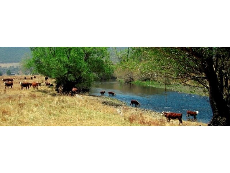 Mitta Mitta VIC 3701