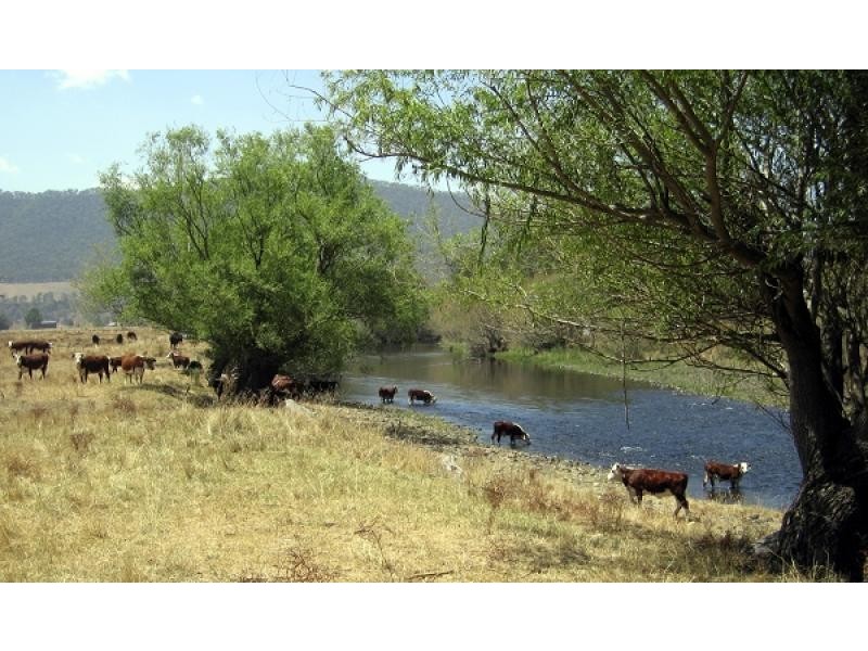 Mitta Mitta VIC 3701