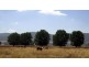 Mitta Mitta VIC 3701