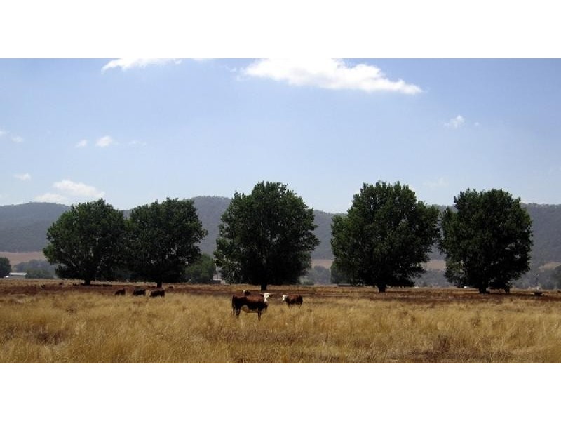 Mitta Mitta VIC 3701
