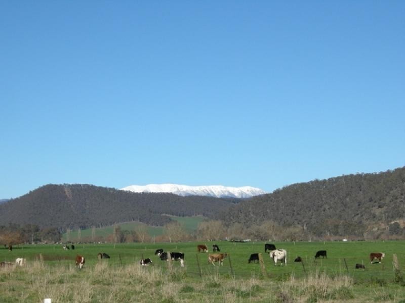 Mitta Mitta VIC 3701