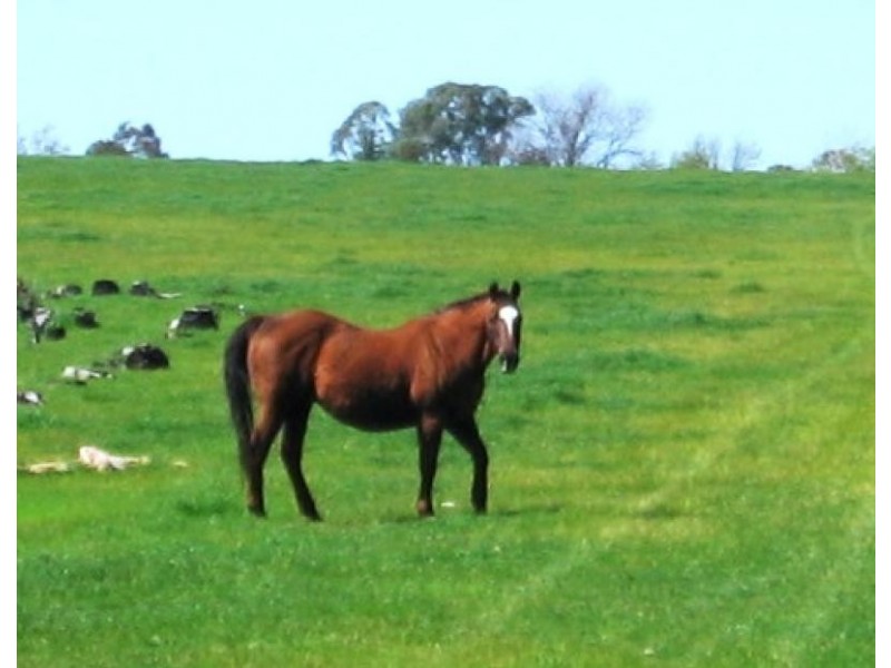 23 Jacob Street, Burrumbuttock NSW 2642