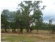 Lot 7 William Place, Howlong NSW 2643