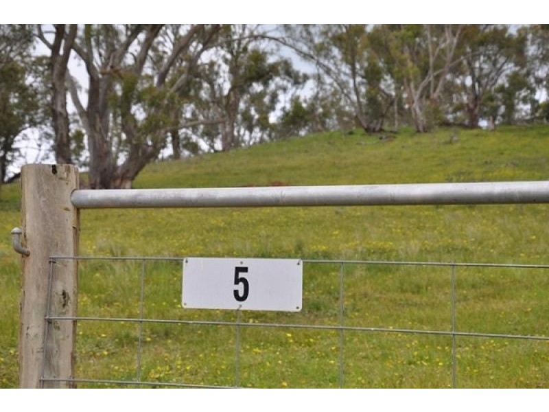 5 Love Lane, Splitters Creek NSW 2640