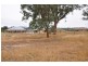 11 Redbox Drive, Thurgoona NSW 2640