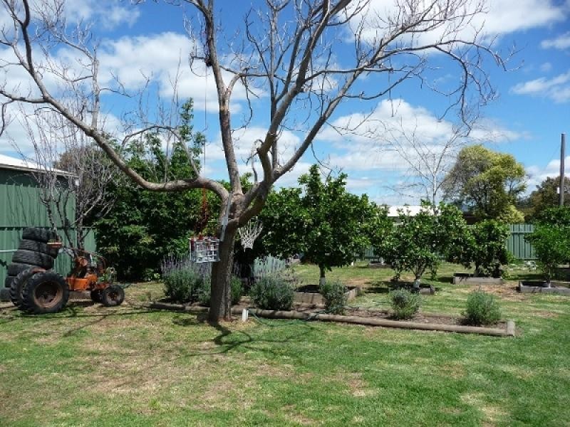 31 Leonard Street, Wodonga VIC 3690