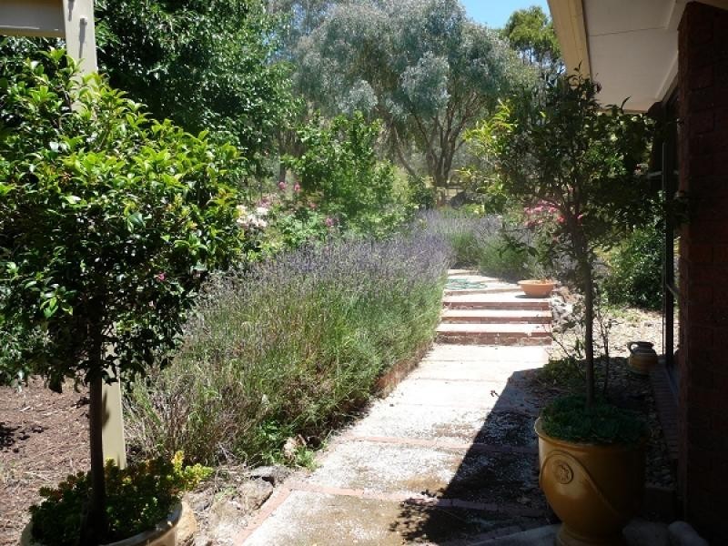 23 McCulloch Crescent, Wodonga VIC 3690