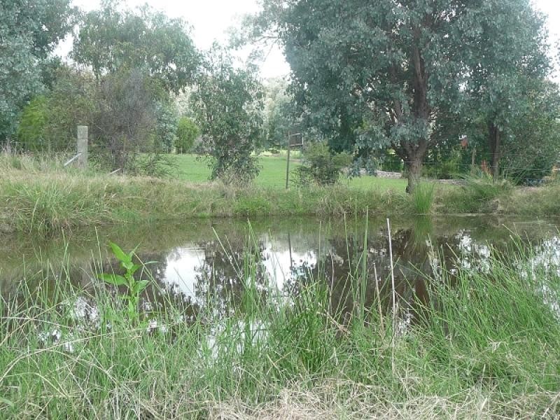 6 Riversdale Place, West Wodonga VIC 3690